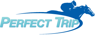Perfect Trip